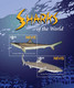 NEVIS, 2021, MNH, SHARKS, MARINE LIFE, SHEETLET+S/SHEET , HIGH FV - Pesci