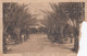 MAZARA DEL VALLO /  Giardino A Mare - Viale Delle Palme  _ Viaggiata 1926 - Mazara Del Vallo