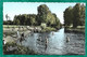 Dordives (45) La Baignade Sur Le Loing 2scans Carte Animée - Dordives