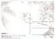 (2 F 51) Maldives Islands (2 Postcards) - Maldivas