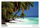 (2 F 51) Maldives Islands (2 Postcards) - Maldiven