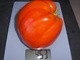 30 Graines Tomates COEUR DE BOEUF BIO - Other & Unclassified