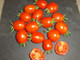 30 Graines De Tomate COCKTAIL GROSSE( BIO) - Other & Unclassified