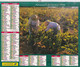 ALMANACH DU FACTEUR: Calendrier Des Postes 1998, SOMME, Récolte Du Foin, Vendanges? - Grand Format : 1991-00