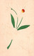 Prénom Louis, Fleurs En Léger Relief - Carte Non Circulée - Nombres