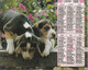 ALMANACH DU FACTEUR: Calendrier Des Postes 1989, Chiots, Chaton - Grand Format : 1981-90