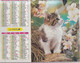 ALMANACH DU FACTEUR: Calendrier Des Postes 1995: SOMME, Chatons, Chats, Fleurs - Grand Format : 1991-00