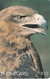 TARJETA DE SUDAFRICA DE UN AGUILA  (EAGLE-BIRD-PAJARO) - Aigles & Rapaces Diurnes