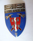 INSIGNE SAPEURS POMPIERS VIENNE - SP VIENNE - Email - Pompieri