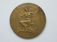 MEDAILLE Royaume De Belgique - Exposition Universelle 1905   **** EN ACHAT IMMEDIAT **** - Professionals / Firms