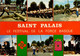 SAINT-PALAIS   ( PYRENEES ATLANTIQUES )   MULTI-VUES - Saint Palais