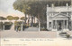 Italie Rome (Roma) - Villa Albani - Viale Dei Pini Con Terrazza 190x Colorisée TB - Parchi & Giardini