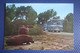 Mallorca, Safari Zoo, Hippo - Old Postcard - Hippopotames