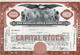 PAN AMERICAN WORLD AIRWAYS,INC.- CERTIFICATE TRANSFERABLE NEW YORK - SAN FRANCISCO -1956 - Aviación