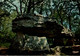 86 ENTRE CIVRAY ET SAUZE VAUSSAIS LE DOLMEN DE LA PIERRE PESE  LONG DE 7 M 30 - Dolmen & Menhirs