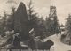 ALTE POSTKARTE TAFELFICHTE AUSSICHTSTURM THEODOR-KÖRNER-STEIN ISERGEBIRGE SUDETEN 1936 Ansichtskarte Postcard - Sudeten