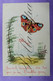 Delcampe - Handpainted  Postcard 4 X Cpa Celluloid Peint A La Main. Handcrafted. - Nieuwjaar