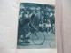 Delcampe - Cyclisme Vélo Tour Prix  Collections De Cliché Photo Carte Postales Ou Autres Dont Certains Avec Des Dédicaces - Wielrennen