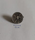 CHEVALIERS DE LA BROCHE RAVEZZE ??? Fencing  PIN A6/6 - Esgrima