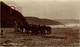 CARTE PHOTO ON THE SANDS WHITBY  RP   BURROS ANE DONKEY EZEL - Whitby