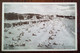 Angleterre - Carte Postale - North Sands - Paignton - Paignton