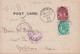 1903. NEW SOUTH WALES. ½ D Victoria + 1 D ON POST CARD (FLANNEL FLOWERS N.S.W. ) To Yokohama,... (Michel 81+) - JF430263 - Brieven En Documenten