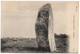 CARNAC ( Morbihan ) - Menhir De KER-LESCAN - - Dolmen & Menhirs