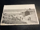 Bredene Sur Mer La Plage Het Strand - Bredene