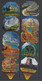 Switzerland, Coffee Cream Labels, Wild America, "Wildniss Amerikas", Lot Of 58. - Coperchietti Di Panna Per Caffè