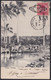 TMA-693 CUBA REPUBLICA 2c 1908 TARJETA MAXIMA PALMAS LANDSCAPE RIVER PALM MAXIM CARD TO SWITZERLAND. - Maximumkarten