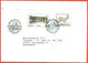 Sweden 1995. The Envelope Passed Through The Mail. - Storia Postale