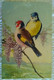 CPA ILLUSTRATEUR WAGNER OISEAUX COLORES SUR BRANCHE DE GLYCINE ROUGE GORGE STYLE KLEIN - Wagner, Richard