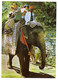 Inde -- Rajasthan--Elephant Ride At Amber Palace Of Jaipur  ( Animée).....beaux  Timbres ..........à Saisir - Indien