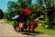 (3 H 49) Malaysia Postcard Posted To Australia  - 1979 - Bullock Cart Malacca - Attelages