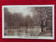 AK: Cottbus - Partie Aus Dem Stadtpark, Gelaufen 12. 8. 1929 (Nr.1134) - Cottbus