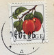 SWEDEN 1994, CYCLE RIDING BY GIRL ,POSTCARD USED FRVIT ,PLANT STAMP - Lettres & Documents