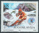 Yugoslavia 1992 Europa CEPT Columbus Olympic Games Barcelona Soccer Fauna Cats Pelicans Trains, Complete Year MNH - Full Years
