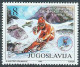 Yugoslavia 1992 Europa CEPT Columbus Olympic Games Barcelona Soccer Fauna Cats Pelicans Trains, Complete Year MNH - Annate Complete