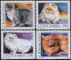 Delcampe - Yugoslavia 1992 Europa CEPT Columbus Olympic Games Barcelona Soccer Fauna Cats Pelicans Trains, Complete Year MNH - Komplette Jahrgänge