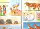 Livre Illustré My First Book Of Animal Babies - A Preschool Fun To Learn Book 1989 - Format : 29.5x21 Cm - Picture Books