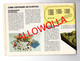 Delcampe - 16469 " LIMA MODELS-LIMA TECHNOLOGY-HO - CATALOGO " - Unclassified