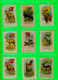 COLLECTION DE CARTES EN SOIE DE CIGARETTE - LOT DE 31 CARTES - ANIMAUX ET DRAPEAUX EMBLÈME DU PAYS - - Collections & Lots