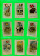COLLECTION DE CARTES EN SOIE DE CIGARETTE - LOT DE 31 CARTES - ANIMAUX ET DRAPEAUX EMBLÈME DU PAYS - - Collections & Lots