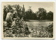 AK 050748 GERMANY - Park Wörlitz - Partie Im Park Mit Kirche - Woerlitz