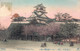 JAPON KOCHI PARK CASTLE TOSA - Autres & Non Classés