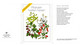Cofanetto Con 12 Cartoline Tedesche PIANTE MEDICINALI "Pflanzen Helfen Heilen" = "Le Piante Aiutano A Guarire". - Geneeskrachtige Planten