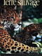 ► CPSM  Couple Jaguars Au Belize - Belize