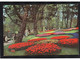 (RECTO / VERSO) PAYS BAS - LISSE - HOLLAND KEUKENHOF -  BEAU TIMBRE ET FLAMME - CPM GF - Lisse