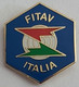 (FITAV) FEDERAZIONE ITALIANA TIRO A VOLO Italy Shooting Federation Association Union Archery Rifle  PIN A7/2 - Tiro Al Arco