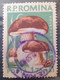 Errors Romania 1958 Mi 1729 Mushrooms Printed With Watermark  Horizontal Line  Used - Variétés Et Curiosités